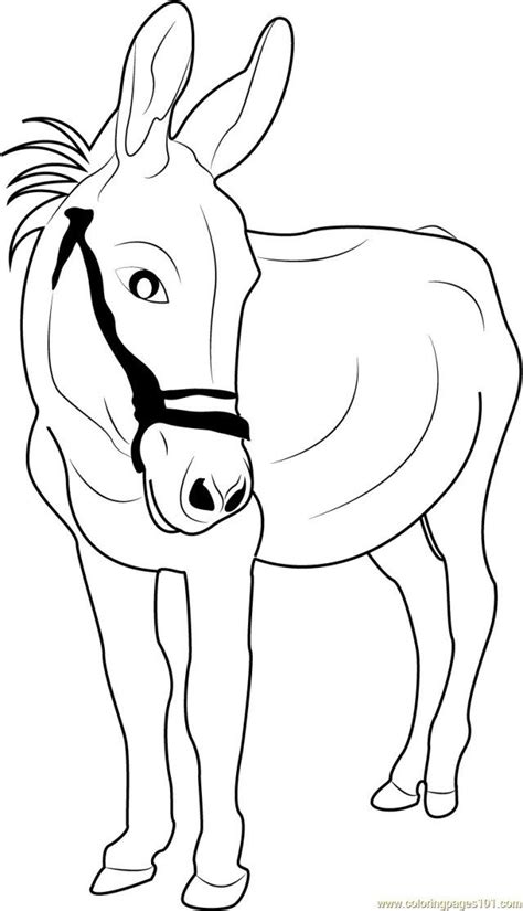 The donkey has been used as a working animal for at least 5000 years. Marvelous Picture of Donkey Coloring Page | Coloring pages ...