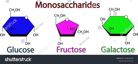 Chemical Illustration Monosaccharides Glucose Fructose Galactose Stock