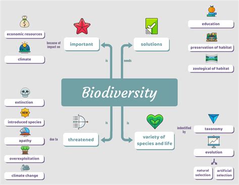 Concept Map For Biology