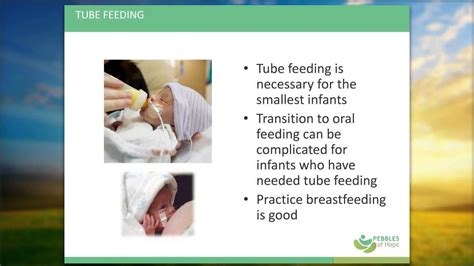 Webinar Nutrition In The Nicu And Beyond Youtube