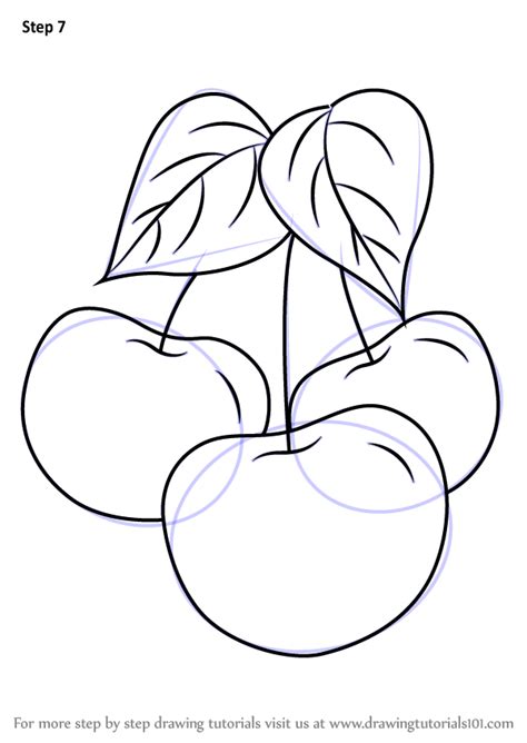 There is nothing so complicated, just watch. Learn How to Draw Plums (Fruits) Step by Step : Drawing ...