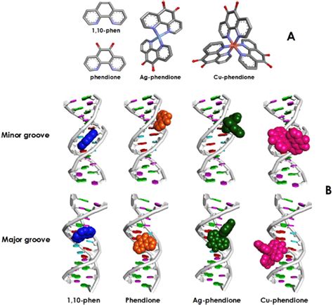 Molecular Structures Of 110 Phenanthroline 110 Phen Download