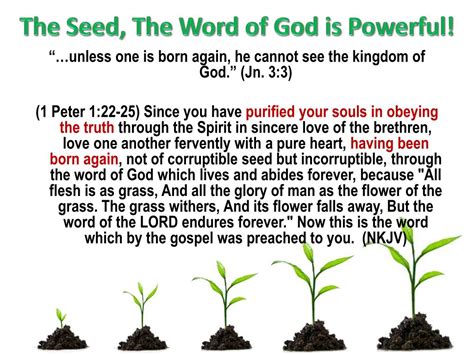Ppt The Parable Of The Growing Seed Powerpoint Presentation Free