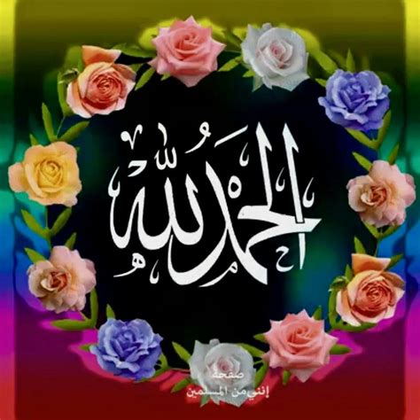 Pin By Saba Afrin On Best Dp Islamic Wallpaper Good Morning Images