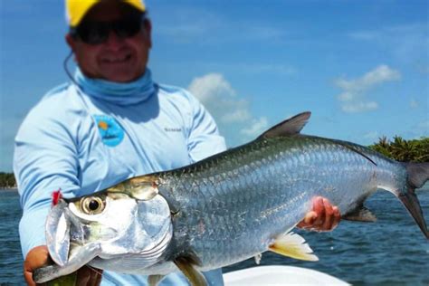 Belize Fishing The Complete Guide Updated 2023