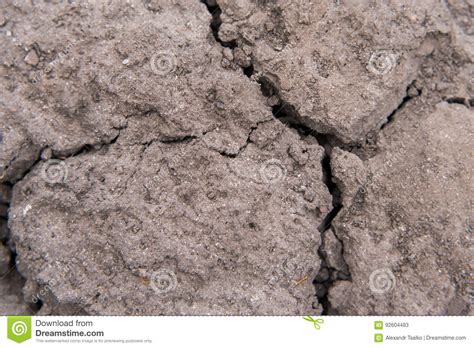 Very Dry Land In The Garden Close Up Stock Image Image Of Heat