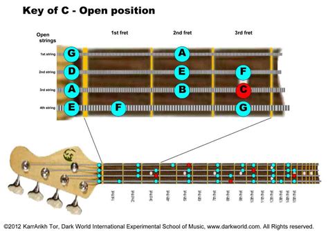 Bass Guitar Scales Finger Positions Guitar