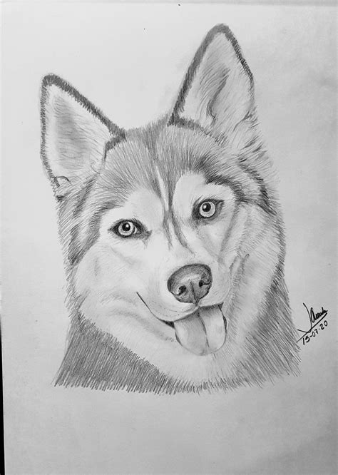 El Mejor Amigo Perros Dibujos A Lapiz Animales Dibujados A Lapiz