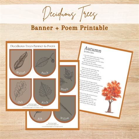 Deciduous Trees Banner And Poem