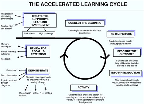 The Accelerated Learning Cycle Learning Pinterest Cycling Brain