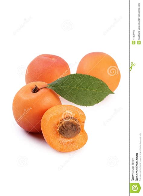 Fresh Apricot With A Leaf Stock Photo Image Of Healthy 41805952