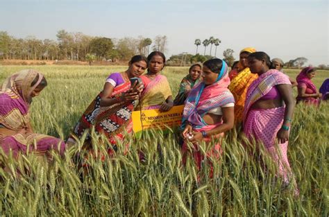 From Invisible Farm Women To Agri Preneurs Rice Today