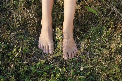 Bare Female Feet On A Grass Stock Image Image Of Insects Lifestyle