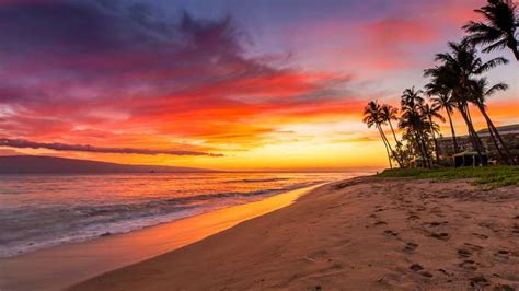 As 14 Melhores Praias Do Havaí Costa Cruzeiros