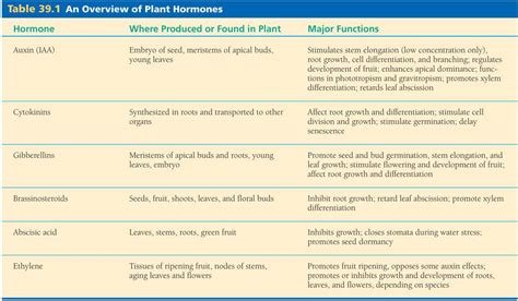 Plant Biotech Plant Hormones And Growth Regulators