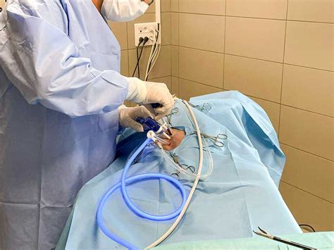 Chirurgie Mini Invasive Biovet Saint Paul L S Dax