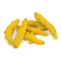 Organic Turmeric Finger Manufacturers Suppliers Dealers Prices
