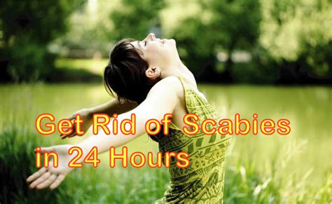 Get Rid Of Scabies In 24 Hours With Most Effective Treatments Disfreeskin