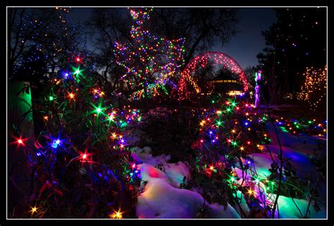 Denver Zoo Christmas Lights 2 The Denver Zoo Has A Really Flickr