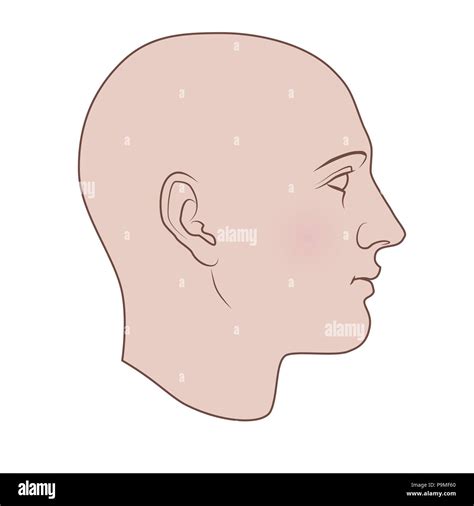 Hand Drawn Human Head In Profile Flat Vector Isolated On White