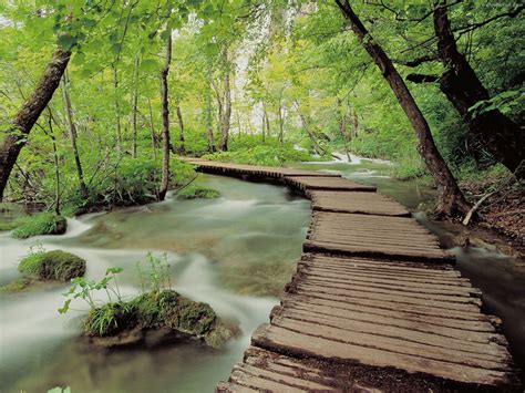 Check spelling or type a new query. cool wallpapers: Natural Scenes