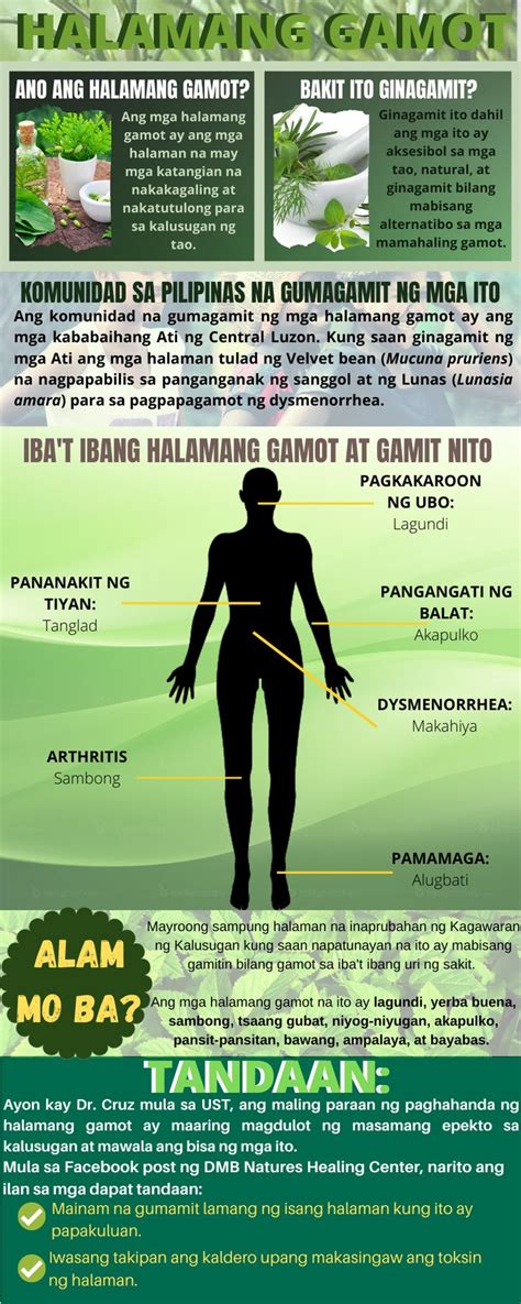 Halamang Gamot Herbal Medicine Herbalism Infographic