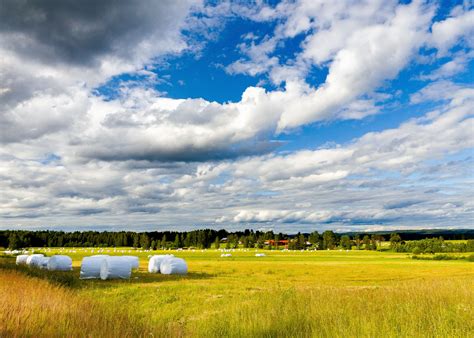 무료 이미지 경치 수평선 습지 구름 하늘 들 목초지 대초원 햇빛 목장 농업 평원 서식지 농촌 지역