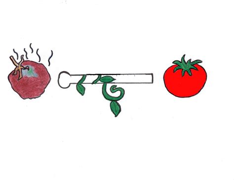 When less than 60% of reviews for a movie or tv show are positive, a green. The spoiling of Rotten Tomatoes | The Innis Herald