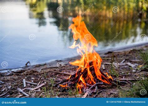 Beautiful Campfire In The Evening At Lake Fire Burning In Dusk At