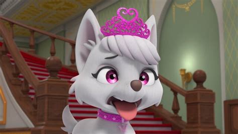 Watch Paw Patrol Rescue Knights Break The Ice Pups Save Excalibark S8