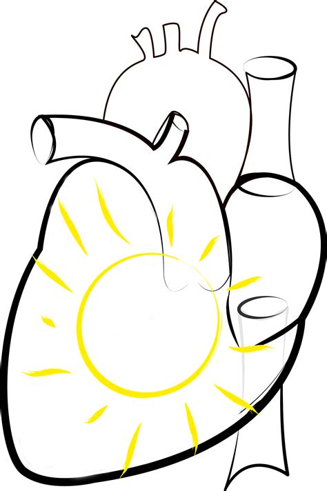 This clipart image is transparent backgroud and png format. 30+ Trend Terbaru Gambar Sketsa Jantung - Tea And Lead
