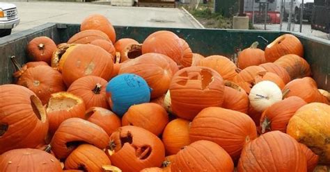 Recycle Pumpkins After Halloween Shaw Local