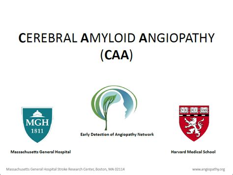 What Is Caa — Cerebral Amyloid Angiopathy