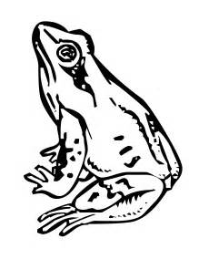 Frog Coloring Pages For Kids Enjoy These Free Frog An