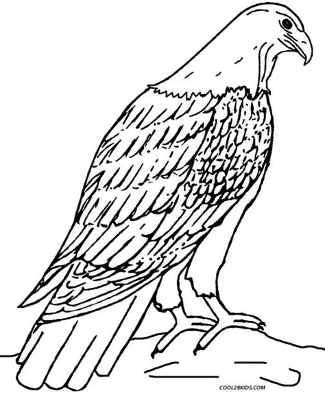 Printable Eagle Coloring Pages For Kids