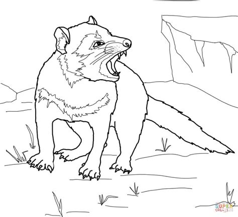 You can use our amazing online tool to color and edit the following tasmanian devil coloring pages. Tazmanian Devil Coloring Pages - Learny Kids