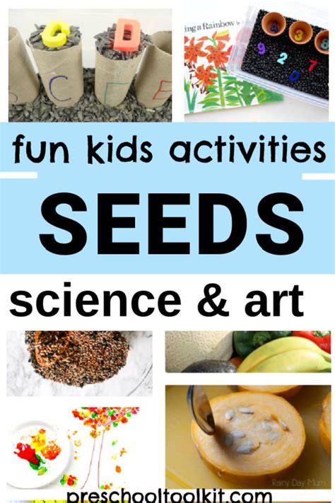 Kids Activities With Seeds From Plants And Foods Preschool Toolkit
