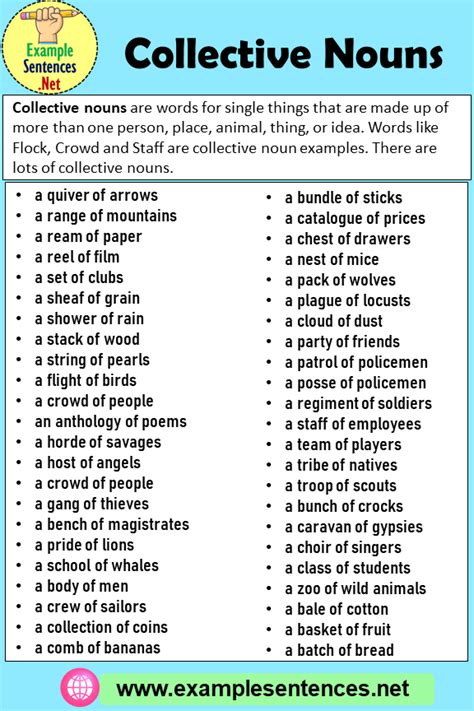 44 Collective Nouns Definition And Examples Example Sentences