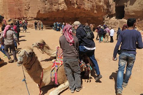 I'd walk a mile for a camel in the desert if i was trying to catch it so i didn't have to walk anymore, but i don't smoke so i don't think i'd drive 5 miles for a marlboro. Journey to Jordan: I'd walk a mile for a camel | Deacon ...