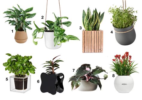 Self Watering Planters That Will Help You Get A Green Thumb Design Milk