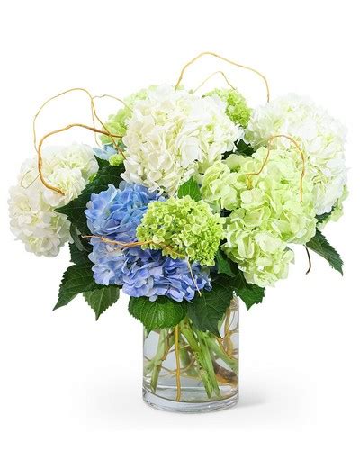 We did not find results for: Jersey City - Brennans Flower Shop, New Jersey Flowers ...