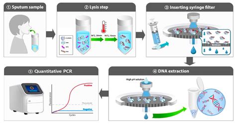 Biosensors | Free Full-Text | Multicenter Testing of a Simple Molecular