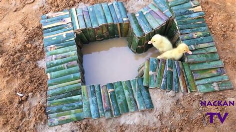 When we clear land and build communities, we're displacing all the. Build Swimming Pool For Ducks - YouTube