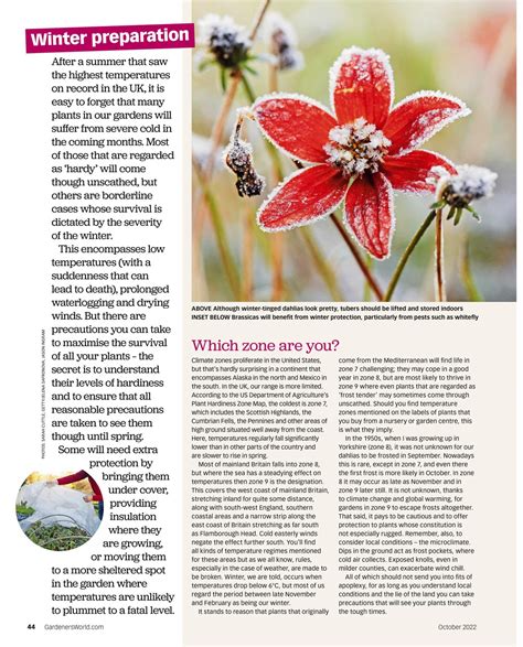 Bbc Gardeners World Magazine October Subscriptions Pocketmags