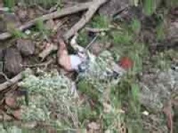 Now pictures released and it will you a clue how cruel that crash was… Ysr death News - Ysr death Latest news on www.oneindia.com