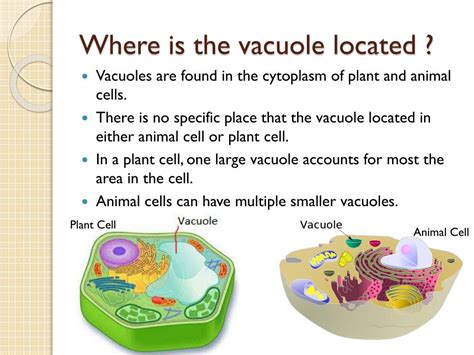 We did not find results for: PPT - By Yosuke, Mathew, and Jenny PowerPoint Presentation ...