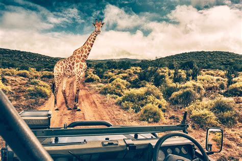 14 Spectacular National Parks In Africa Wildest