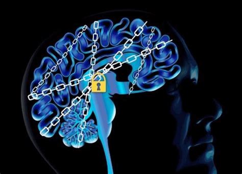 Brain Addiction Why Stopping Drug Use Is So Difficult Genetic