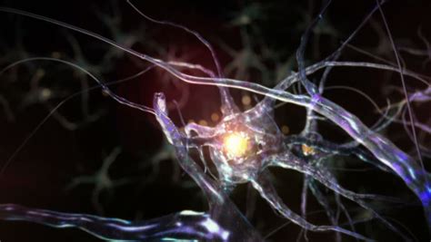 Journey Through A Neuron Cell Network Inside The Brain Techno Blue