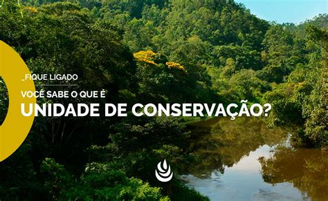 é Possível Utilizar Recursos Naturais Provenientes De Unidades De Conservação